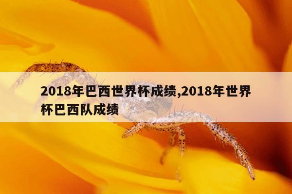 2018年巴西世界杯成绩,2018年世界杯巴西队成绩-第1张图片-足球直播_足球免费在线高清直播_足球视频在线观看无插件-24直播网