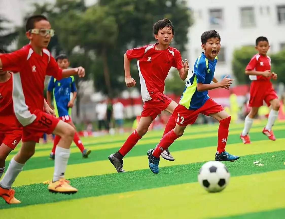 正确的译法应为“欧足联杯”(UEFA Cup)-第1张图片-足球直播_足球免费在线高清直播_足球视频在线观看无插件-24直播网